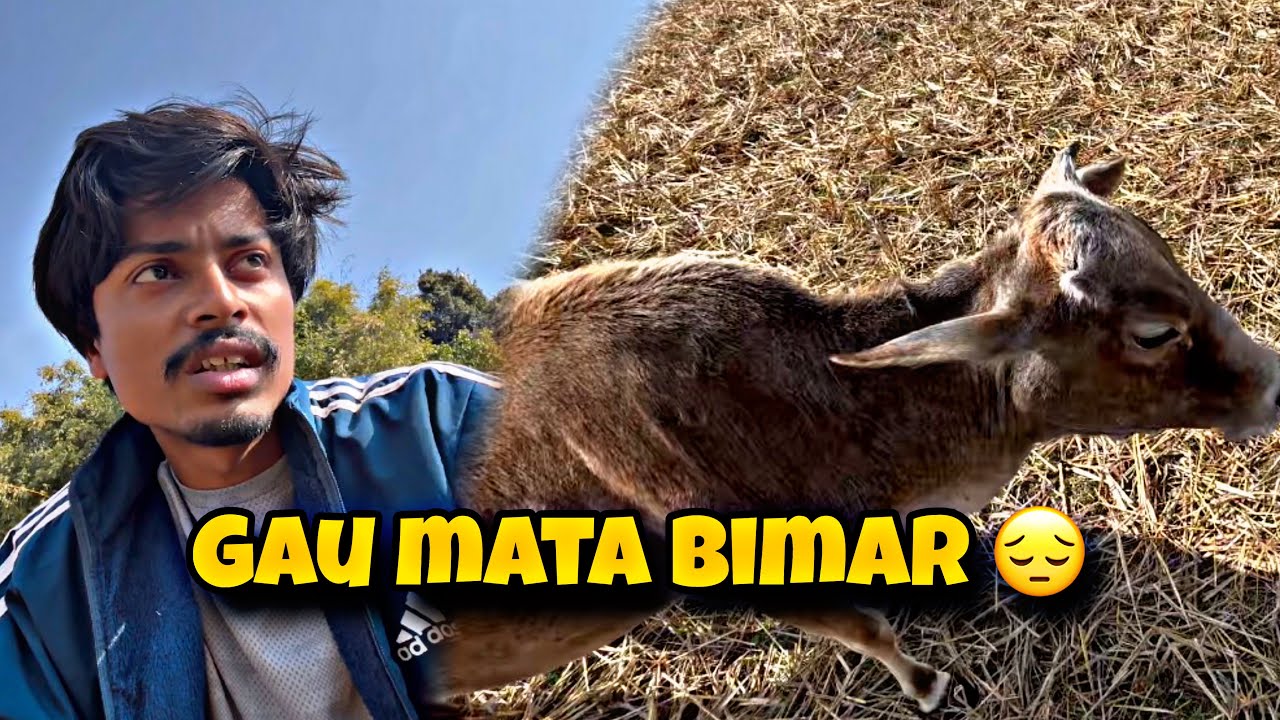 Gau Mata Bimar Ho Gayi Thi 😢 | Ab Thodi Thik Hai 🙏 | Emotional Vlog