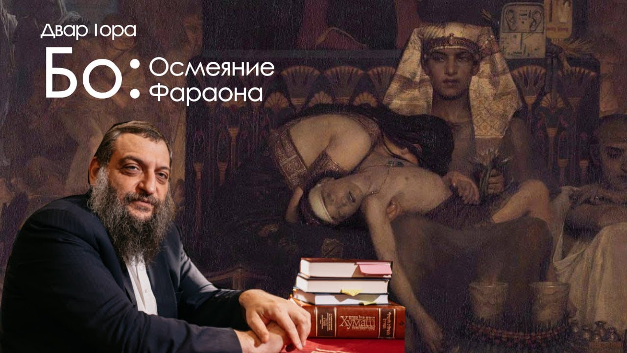 Двар Тора. Бо: Осмеяние фараона