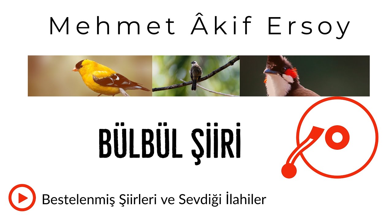 Mehmet Akif Ersoy'un En Güzel Şiirlerinden | BÜLBÜL | Bestelenmiş şiir ve ilahileri