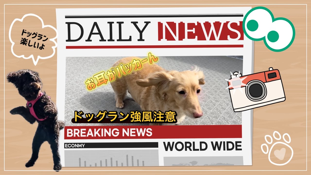 【2月24日〜3月2日】みんなよく遊び・よく食べて・夢みるくらいグッスリ寝る‼︎これが一番イイんだから♪【vol.8】