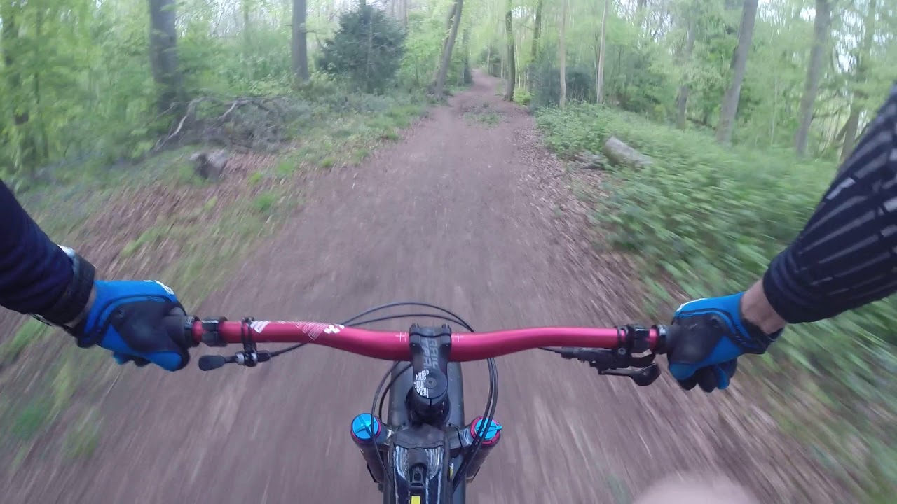 Testing Wren forks in Cranham