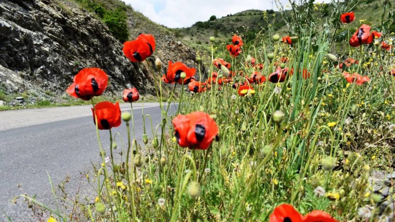 Xocalı sakinlərini qarşılamağa hazırlaşır.Qazağın azad olunmuş Aşağı Əskipara kəndi.Kəlbəcər.👍