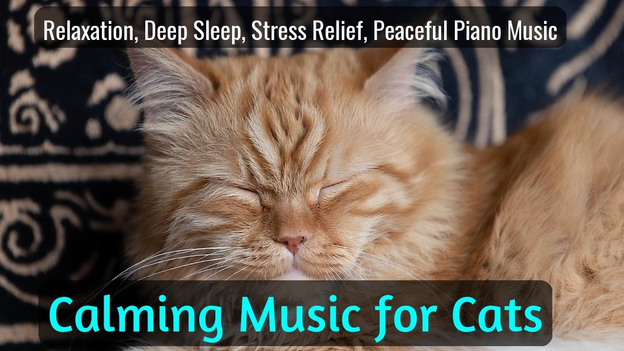 Calming Music for Cats - Relaxation, Deep Sleep, Stress Relief, Peaceful Piano Music | Season 79
