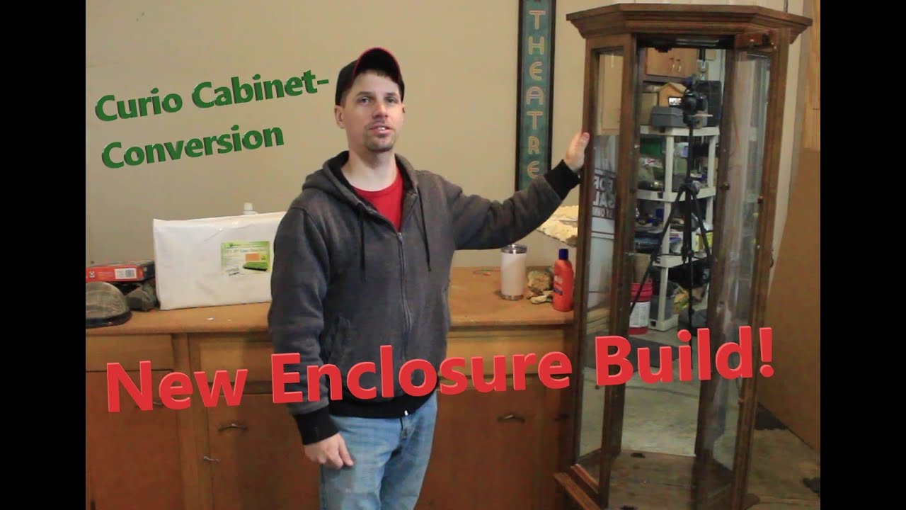 Curio Conversion to Reptile Enclosure - Part 1 Thoughts and tear down