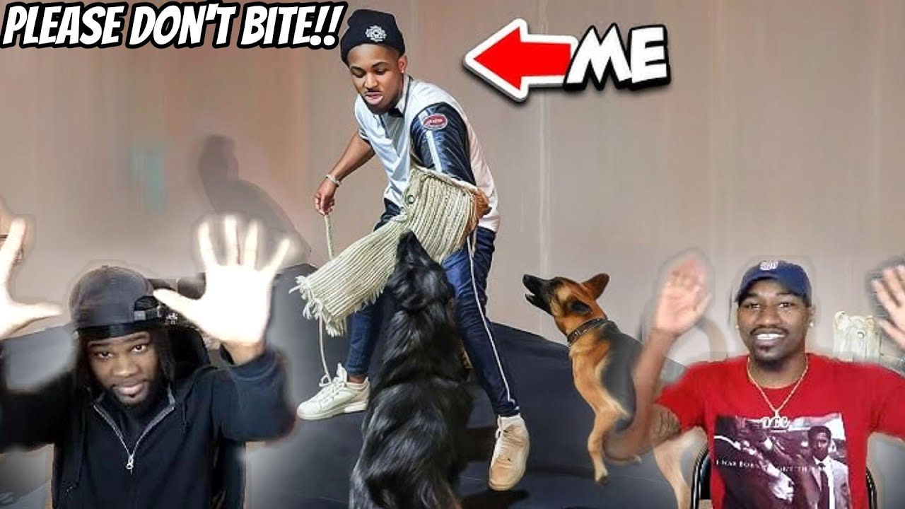 DDG Tries POLICE DOG TRAINING.. THIS POLICE DOG WAS READY FOR ALL THE SMOKE!! Reaction