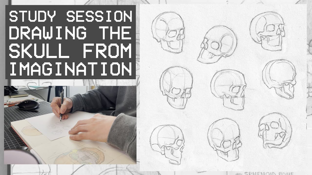 Drawing 50 Skulls From Imagination - Anatomy (Study Session)