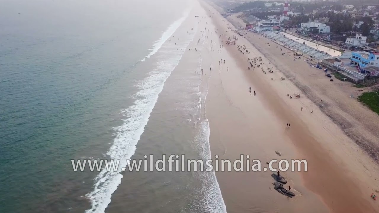 Gopalpur Beach reveals the long sandy shoreline meeting the deep blue waters of the Bay of Bengal