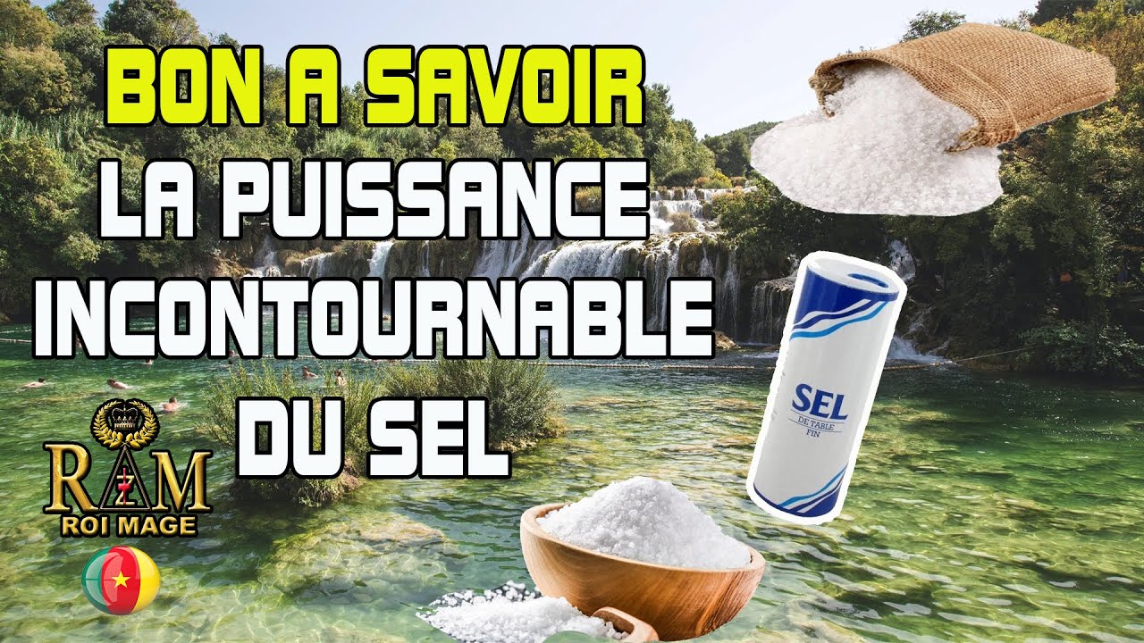 LA PUISSANCE INCONTOURNABLE DU SEL