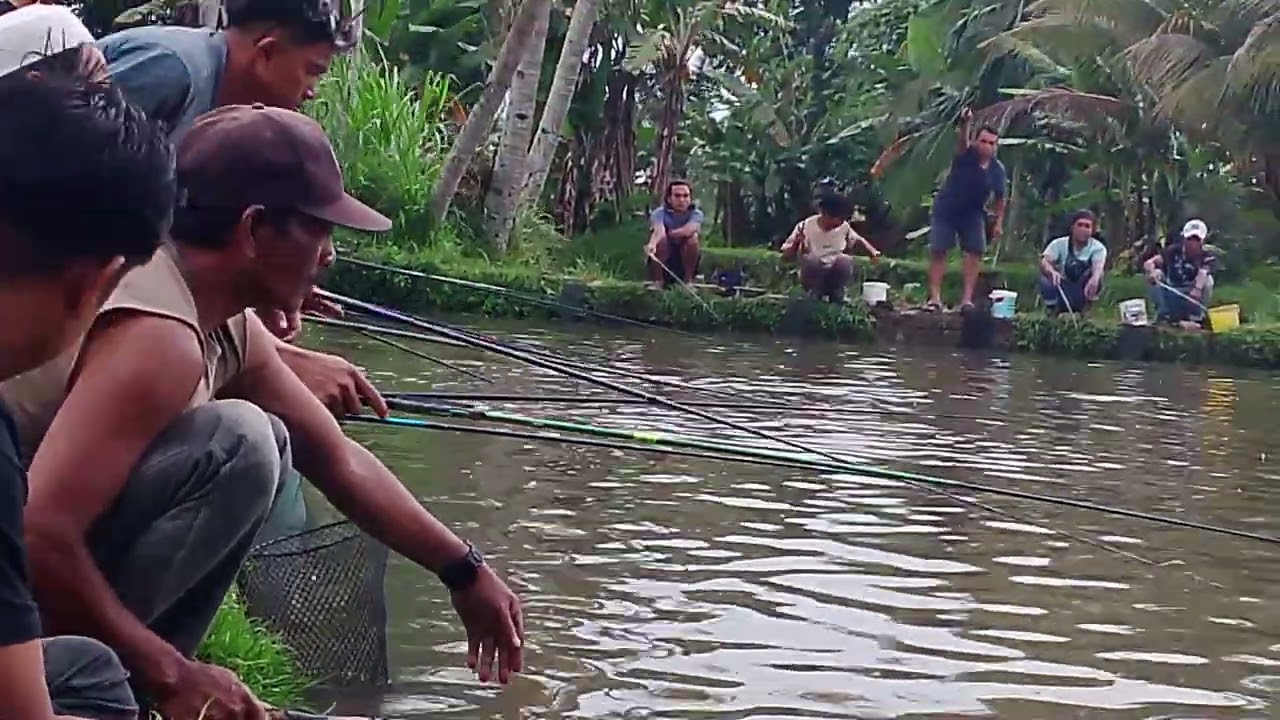 MANCING SAWERAN