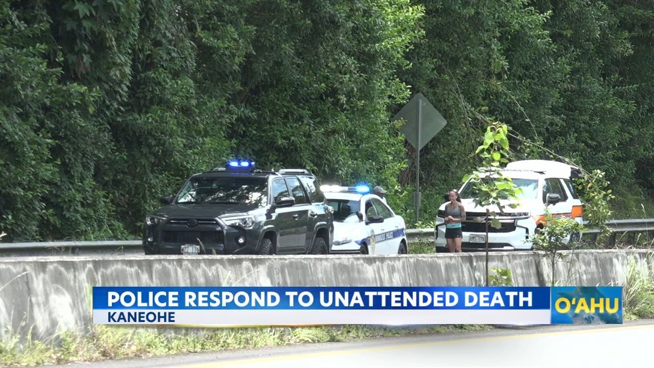 Body found on Pali Highway prompts Honolulu police investigation