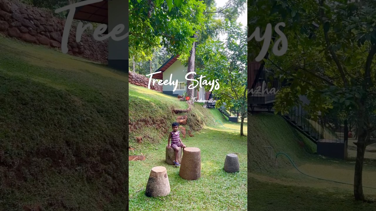 Treely Stays Thodupuzha | #farmstay #poolresort #poolvilla