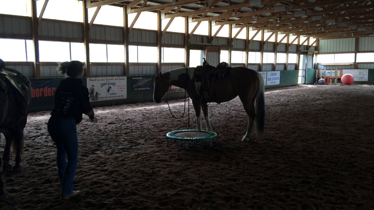 Using a trampoline to get on a horse!