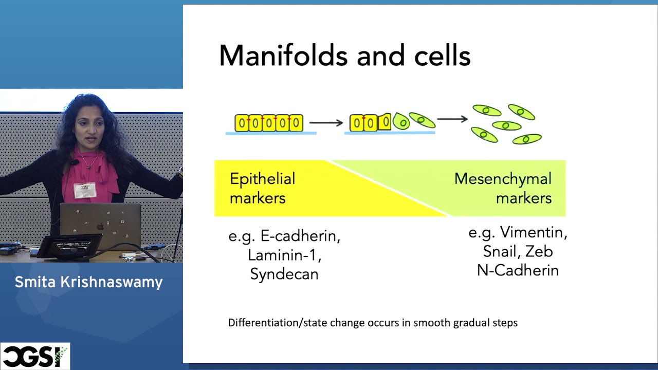 Smita Krishnaswamy | Manifold Learning Yields Insight into Cellular State Space under Complex ...