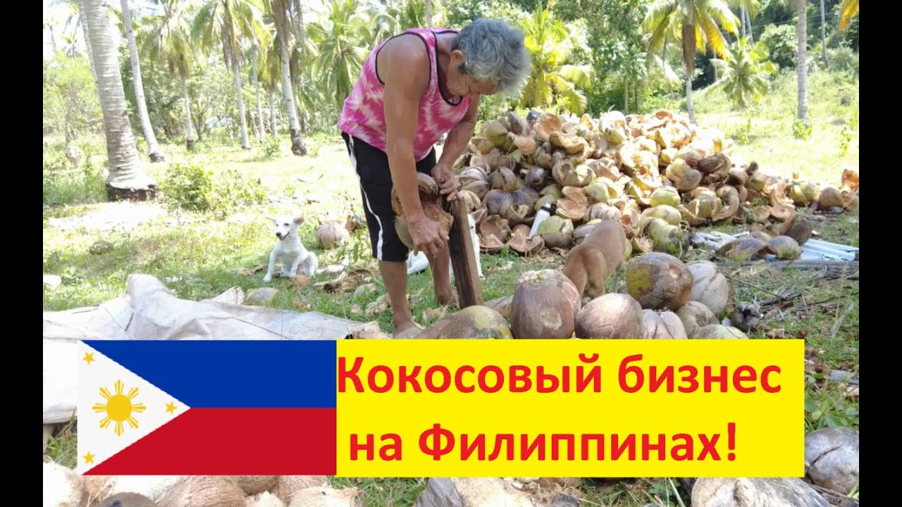 Кокосовый бизнес на Филиппинах от простых крестьян и до корпораций.