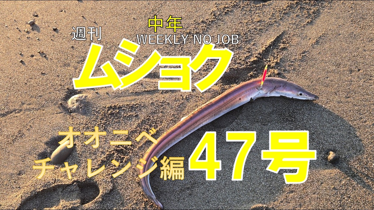 週刊中年ムショク47号