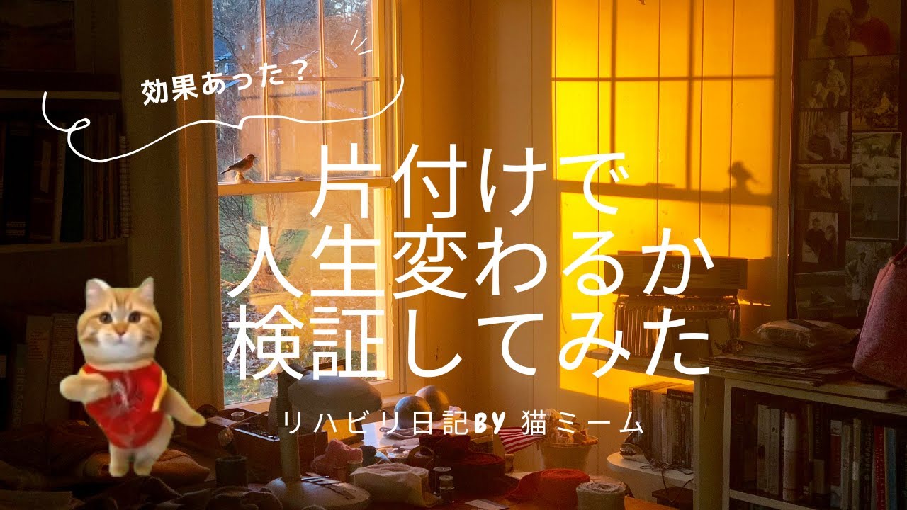 片付けで人生は変わるかを検証した結果・・
