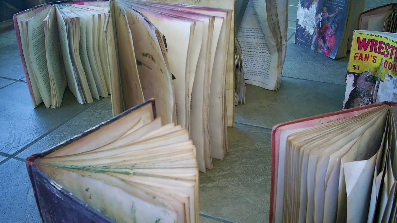 Wet Recovery of Paper and Books