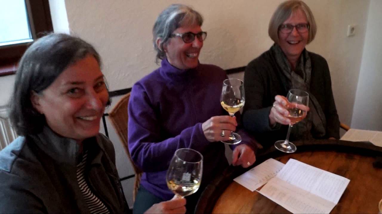 Weinberge und Fachwerk mit der MS Patria und SE-Tours