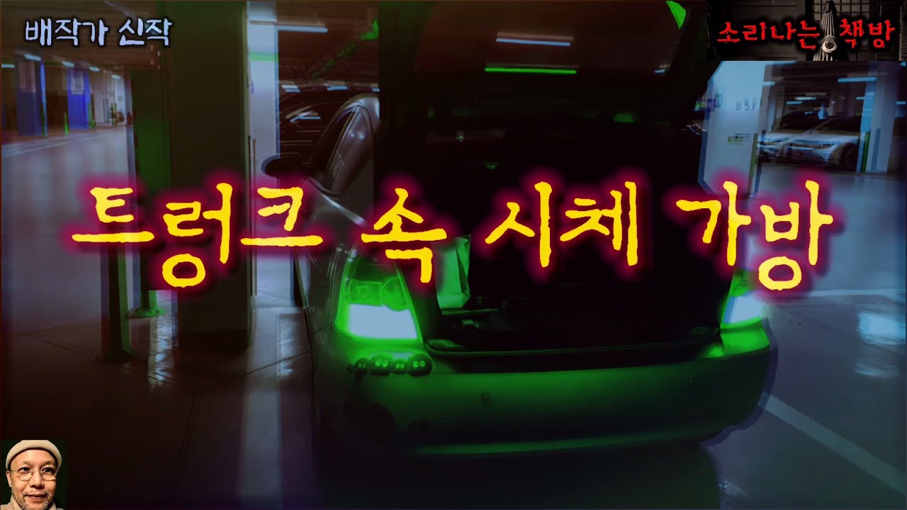 트렁크 속 시체 가방, 시신을 배달한 탁송기사_탐정 안강산 48화 (오디오북|자막) Detective 推理小説 すいりしょうせつ [공포 미스테리 극장] 소리나는 책방 창작 스토리
