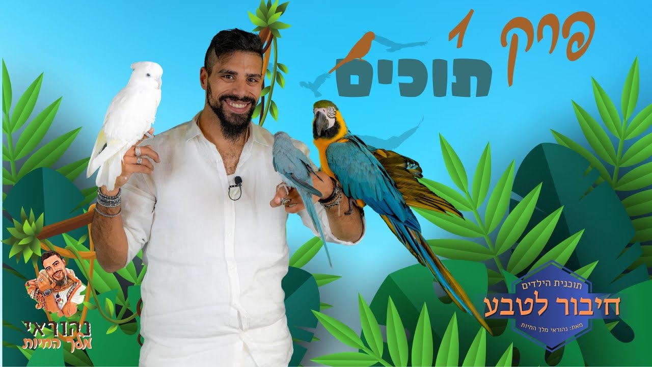 חיבור לטבע - פרק 1 - תוכים - נהוראי מלך החיות 🦁