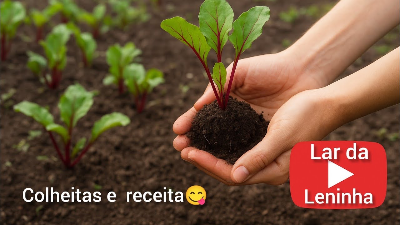 20 minutos para uma Horta Incrível :  Colheita, Receita e Segredos!