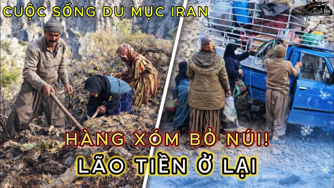 Du Mục Iran: Hàng Xóm Rời Núi Trước Mùa Đông, Gia Đình Lão Tiền Lên Núi Thu Gom Củi