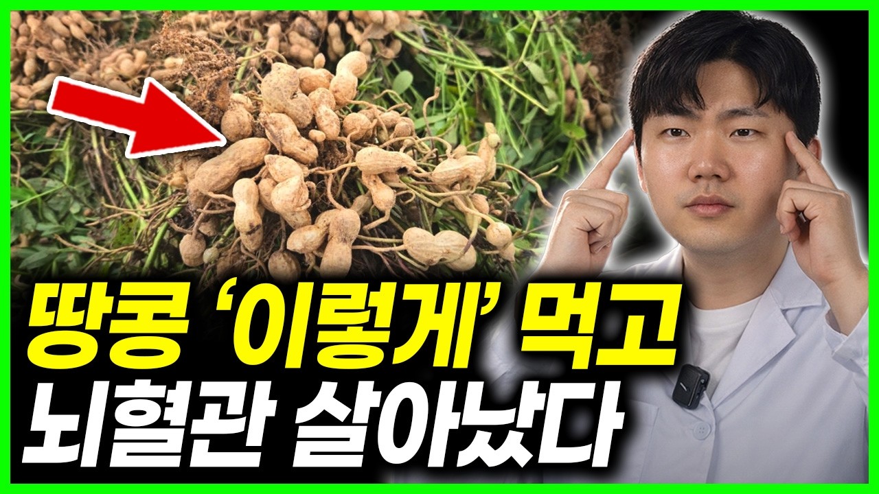 땅콩 '이렇게' 먹고 뇌혈관 살아났다 | 땅콩 효능과 피해야 할 조합까지.
