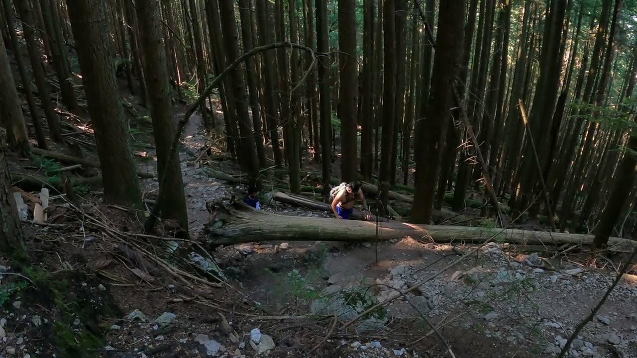 Lynn Peak Hike in Lynn Valley North Vancouver | Trekkerpedia