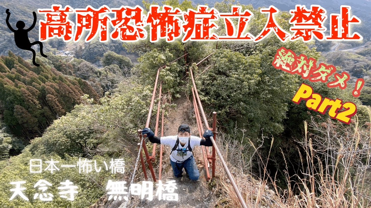 日本一怖い橋【無明橋】断崖絶壁、危険な鎖場、一歩間違えば奈落の底。危険度SS級登山道！国東の【天念寺無明橋】高所恐怖症がはたして行けるか？？#無明橋#断崖絶壁 #登山 #初心者 #高所恐怖症