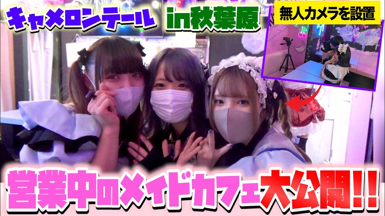 【営業中のメイドカフェに無人カメラ！？】お給仕中のメイドさんの様子を大公開！