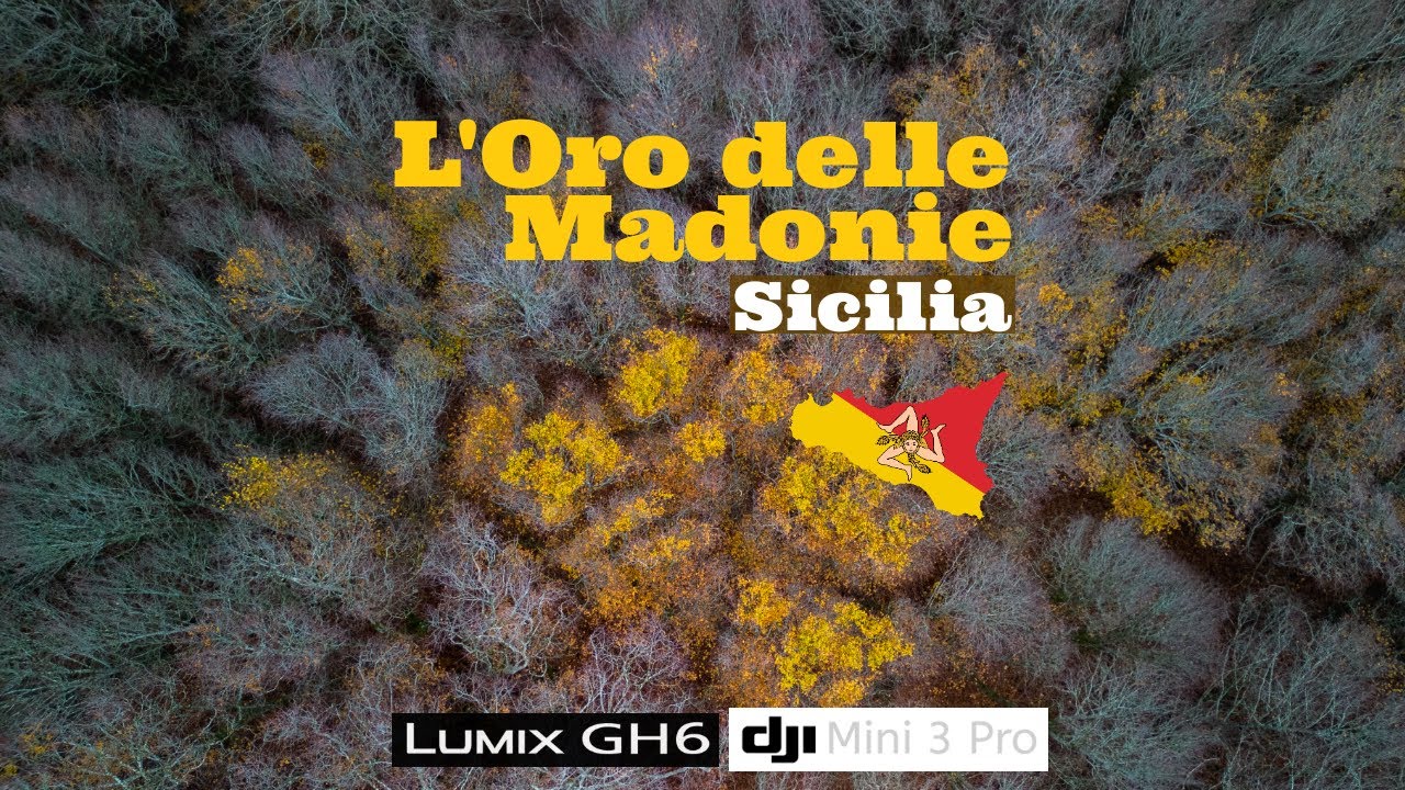 L'oro delle Madonie | Sicilia | 4K