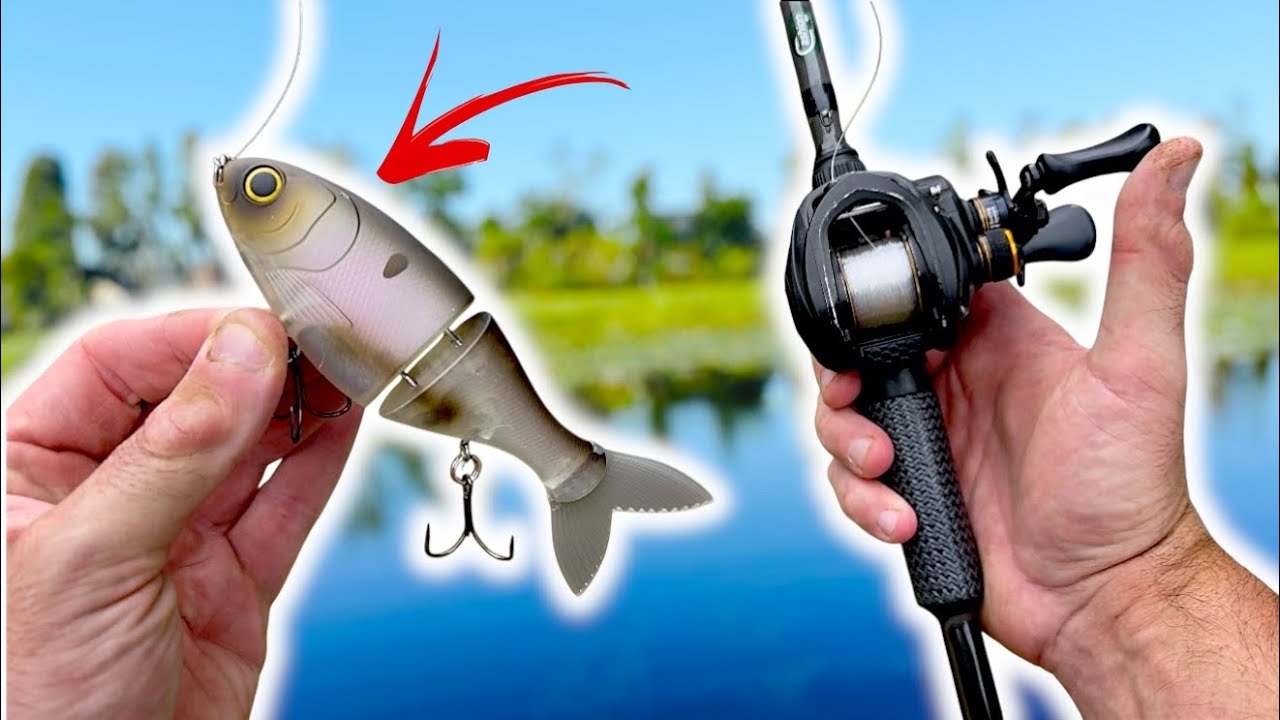 Budget Glide Baits and Topwater Fishing? (EPIC First Catch!)