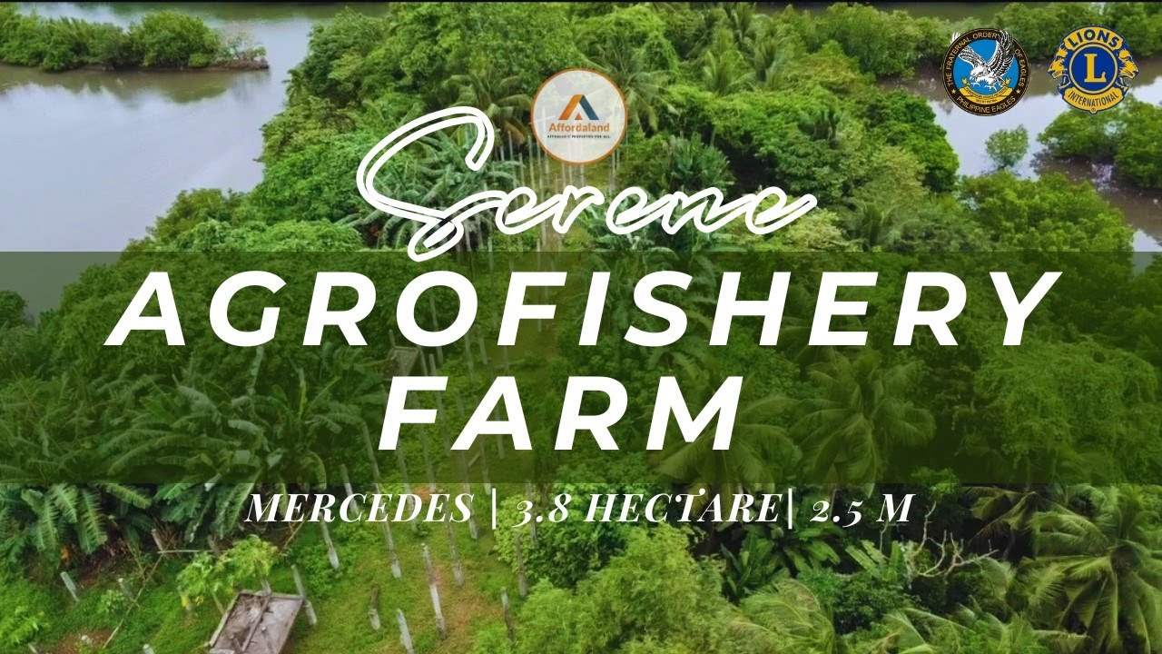 V134 SERENE AGROFISHERY FARM 3.8 HECTARES| 2.5 M | METCEDES