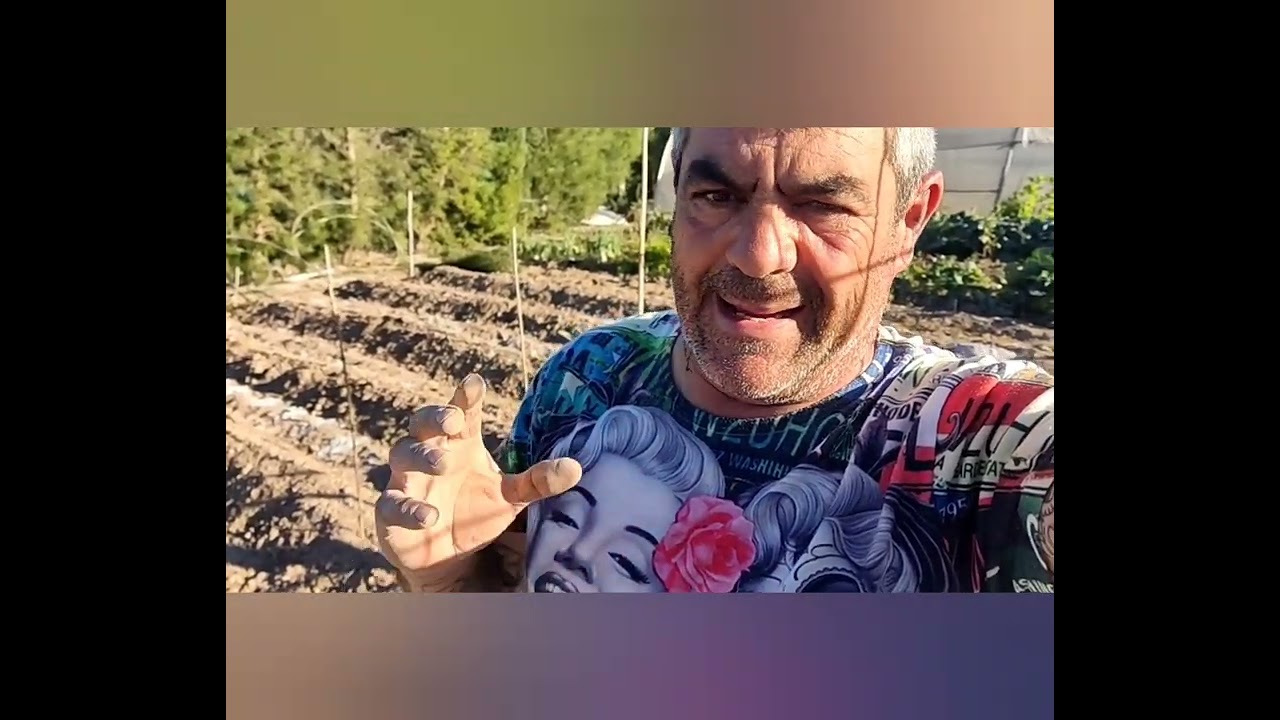 Tratamiento contra la roya en habas y ajos