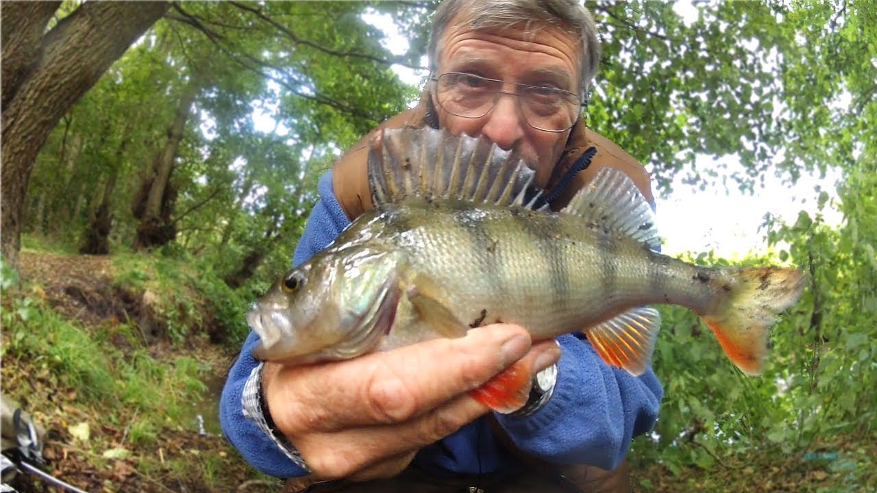 CREEK FISHING with a PEN ROD - NOT FISHED FOR 50 YEARS!!