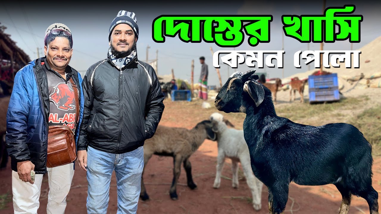 Akram Vai গাবতলী হাট থেকে খাসি কিনে আসল হিসাব | Goat price in Bangladesh