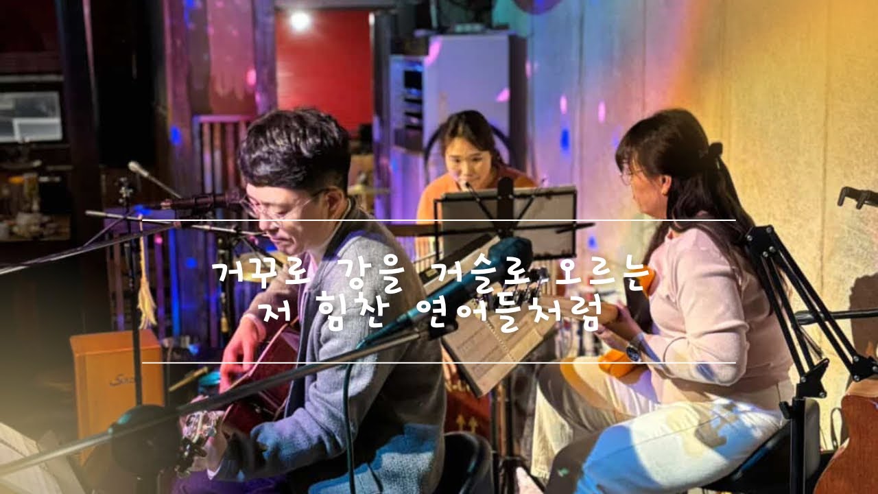 거꾸로 강을 거슬러 오르는 저 힘찬 연어들처럼 - 강산에 | 우연일치 동문블루스 공연