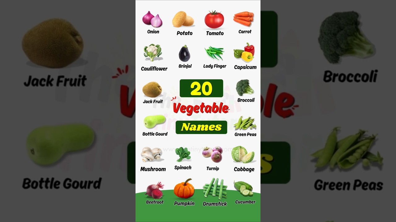20 Vegetables Name in English with Pictures | Learn Vegetable Names for Kids