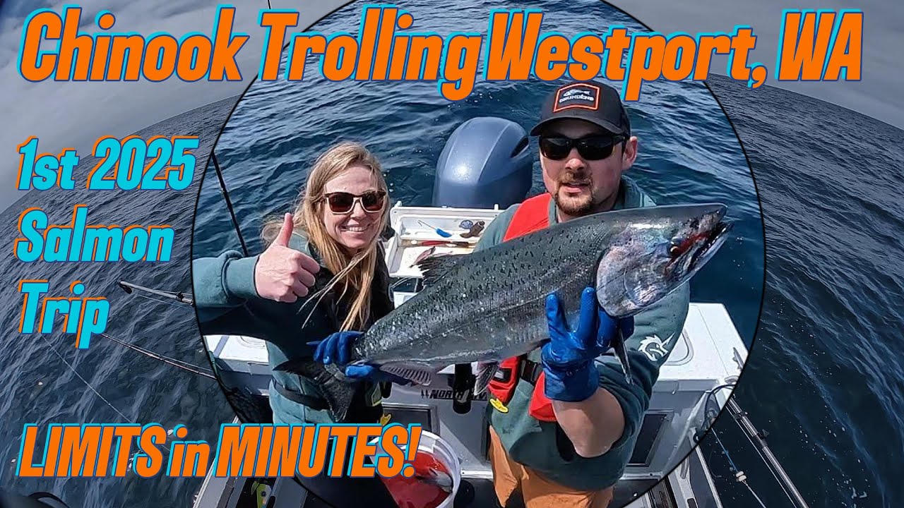 LIMITS in MINUTES: Chinook Salmon Trolling Westport, WA