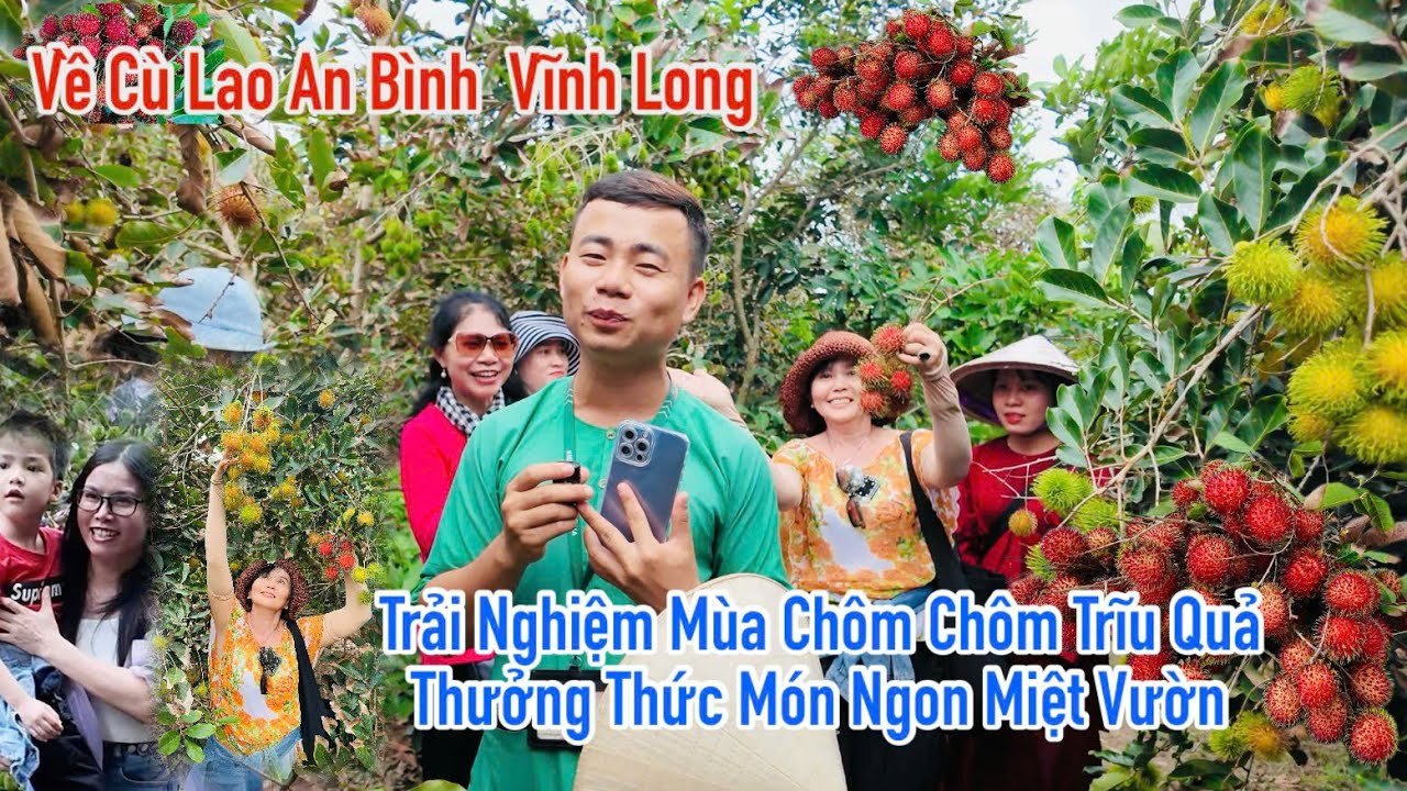 Về Cù Lao An Bình Vĩnh Long khám phá Vườn Trái Cây Mùa Trái Chín | Travel Vinh Long, Viet Nam