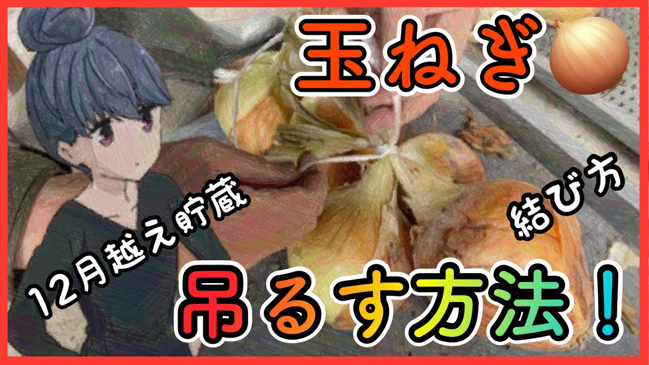 玉ねぎの吊るし方！長期間保管する方法について解説しています。