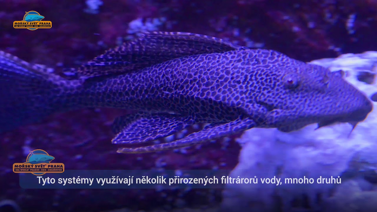 Představení hlavní expozice