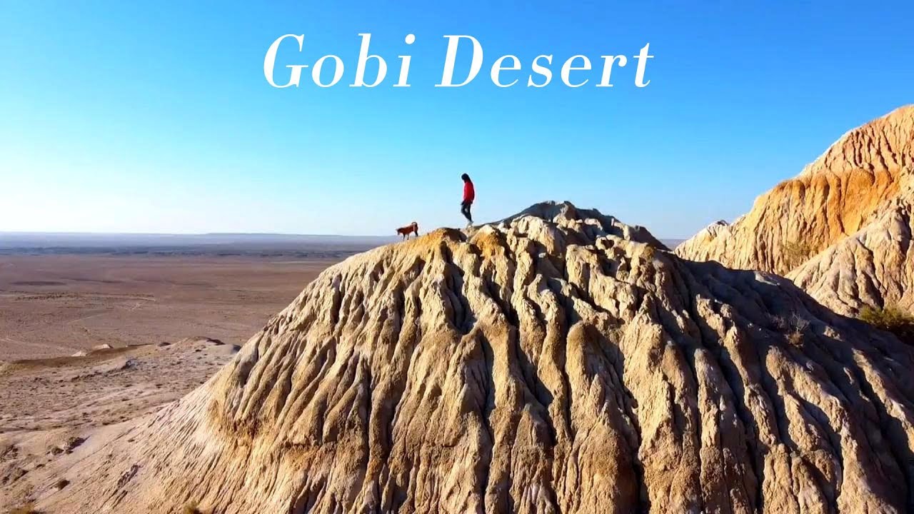That is great ! Take my dog to travel | Pick up beautiful stones in the Gobi Desert | 草鞋琴 | 九黄
