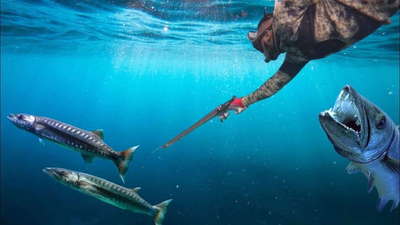 Mutton Snapper & Barracudas Speared Huge Shark Came For Our Barracuda's So We Had To Do This