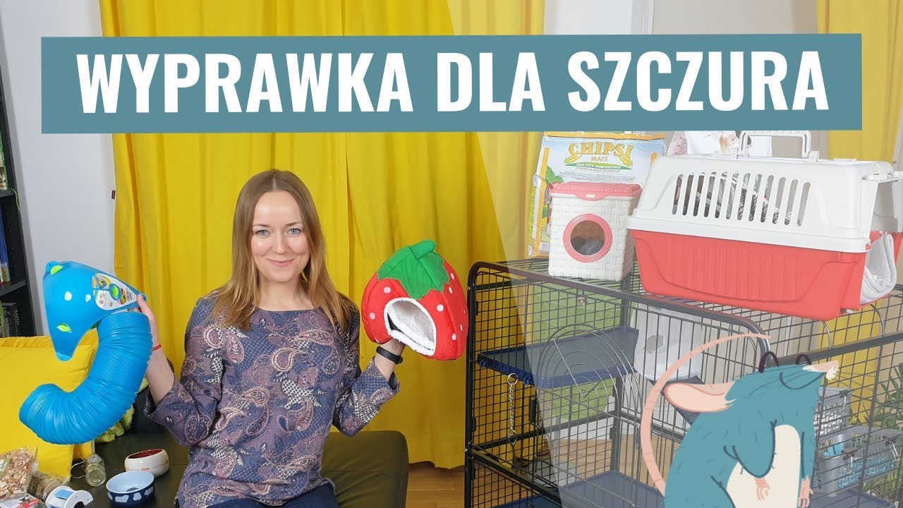 Wyprawka dla szczura - edycja 1. | Szczuromania #2