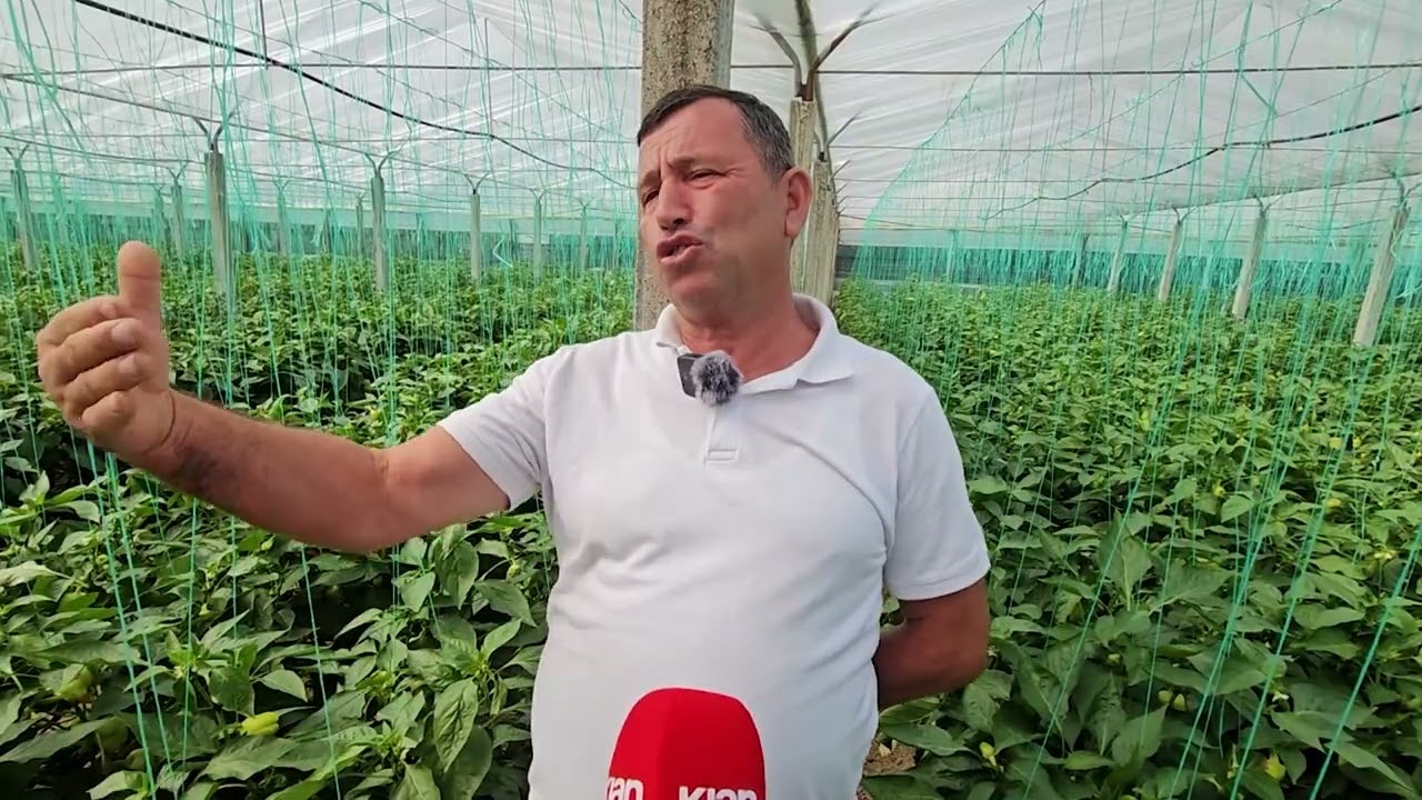 Klan News - Pasiguria nga pesticidet, fermerët kërkojnë alternativa