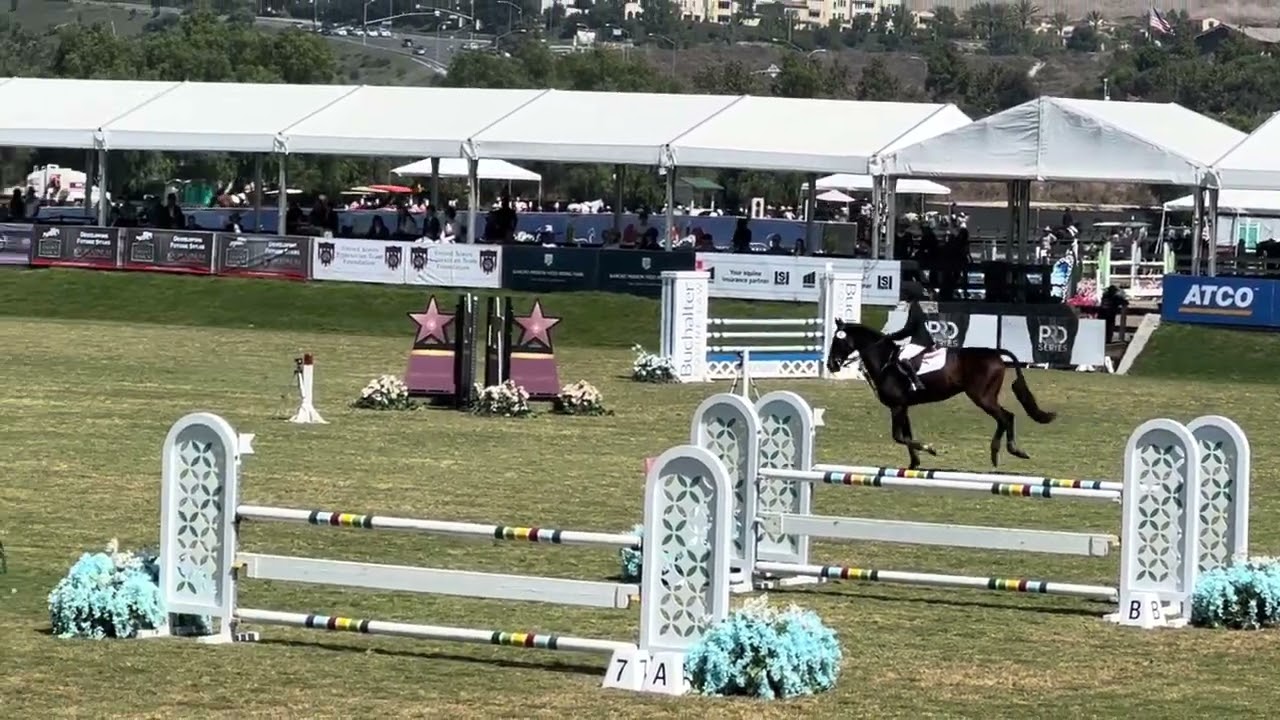 USEF Show Jumping Talent Search Finals - West: Top 4 workoff/horse swap (Champion, catch-ride)
