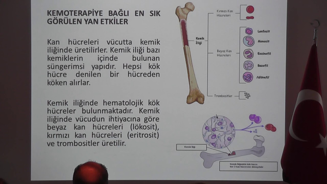 Kemoterapi Gören Hastalarda Tükürük Bezleri ve Oral Mukoza Değişiklikleri ve Dişhekiminin Yaklaşımı