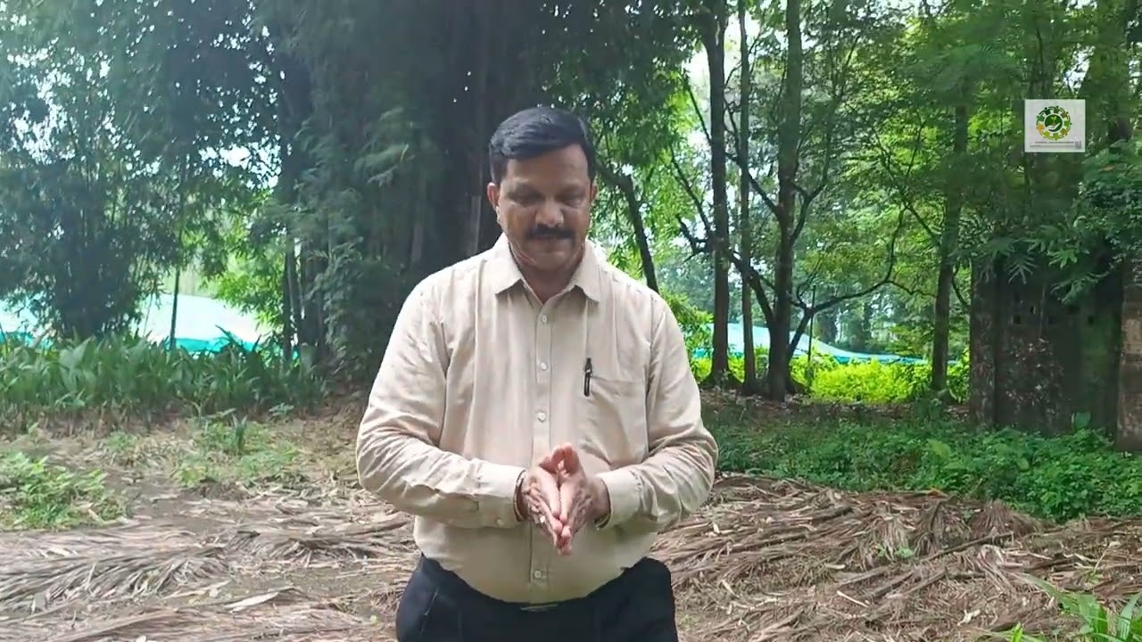 (PART-2) MOHIT NAGAR ARECA NUT (Supari) Variety ORGANIC TRIAL... THE CONCLUSION REVIEW
