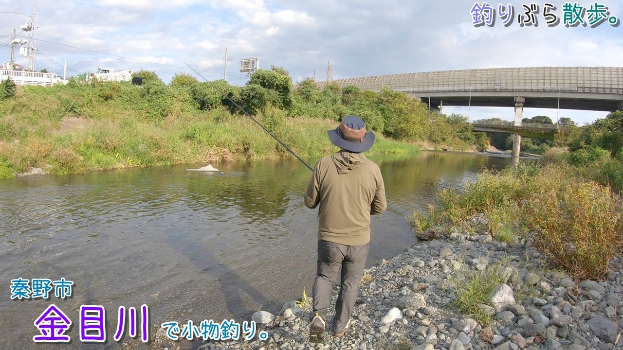 寒くなる前に綺麗な川の本流で楽しみたい～ 。     秦野市 金目川で小物釣り。